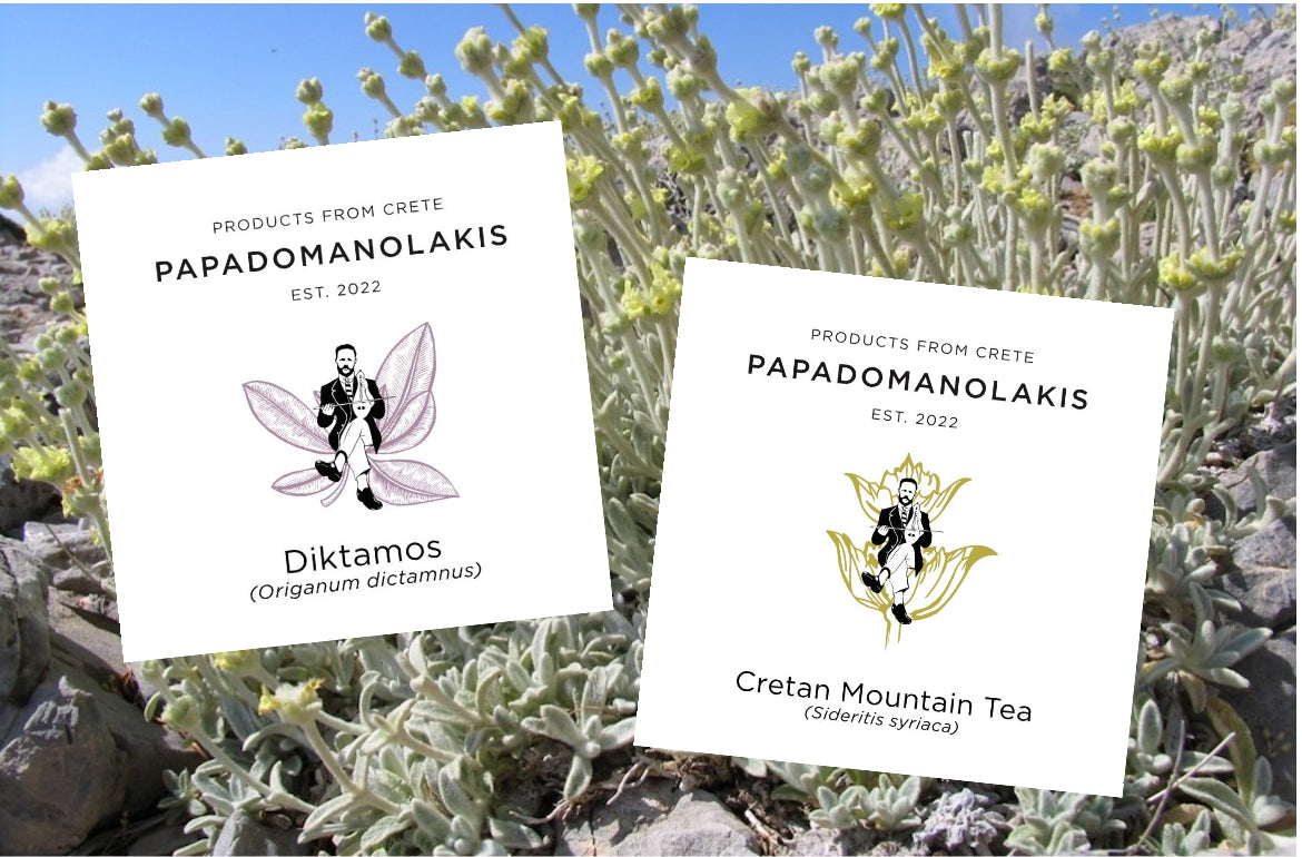 Cretan herbs prepared as tea for The Pappas Post