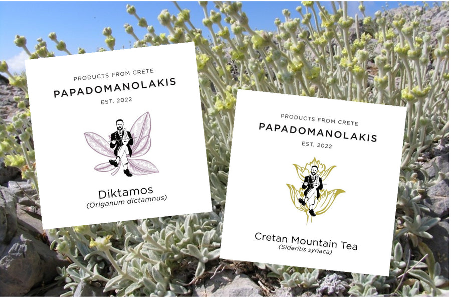 Cretan herbs prepared as tea for The Pappas Post