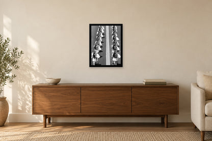 Evzones Seen from above in a black frame, shown in a home setting — room visualization