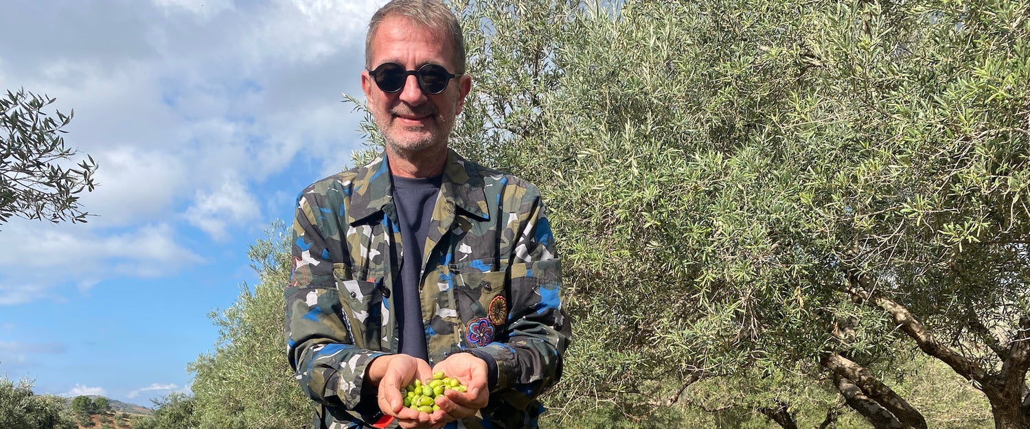 Gregory Pappas holding freshly harvested olives in a Greek olive grove