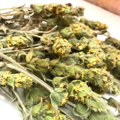 Mountain Tea from Crete